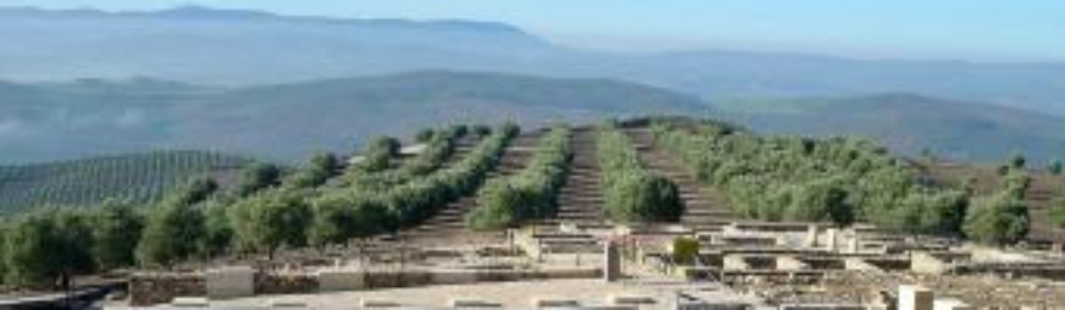 Excursión a Torreparedones